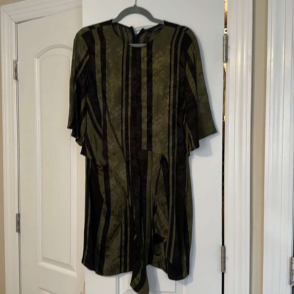 Zara Mini Shirt Sleeve Dress